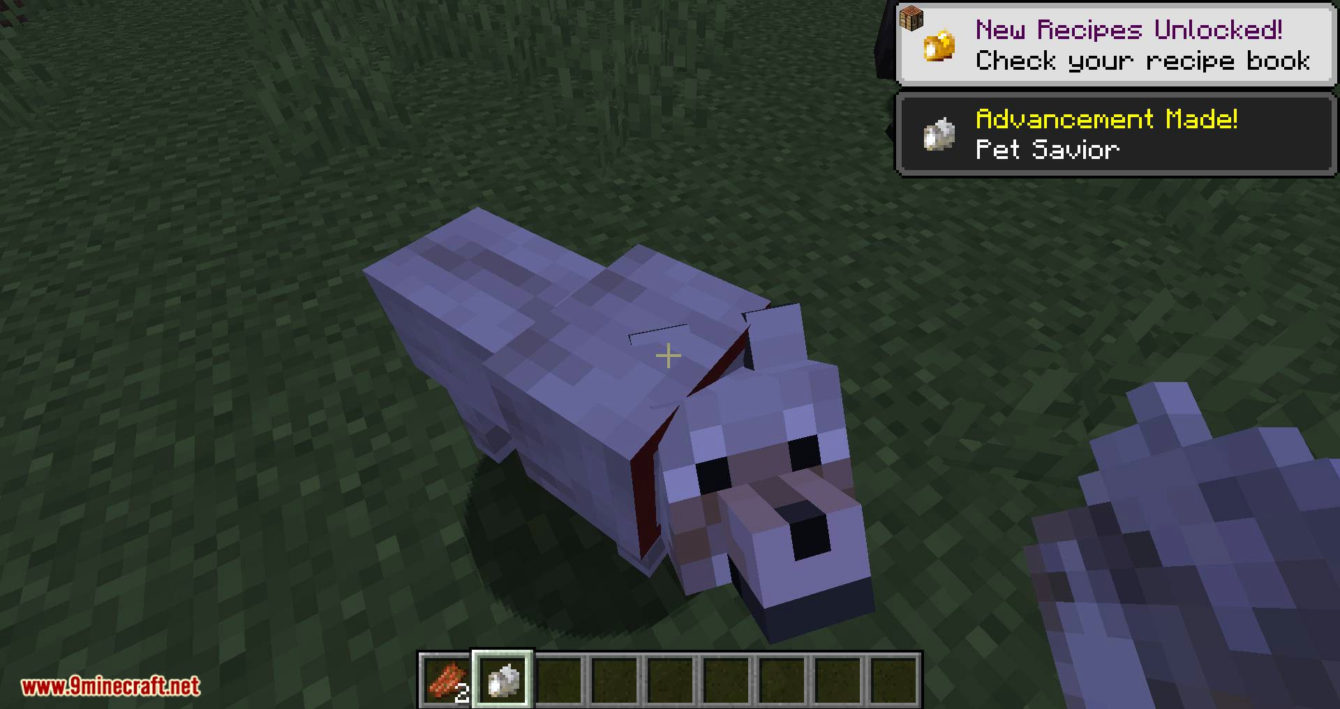 Save Your Pets Mod (1.20.4, 1.19.4) - Heal Wounded Pets 9