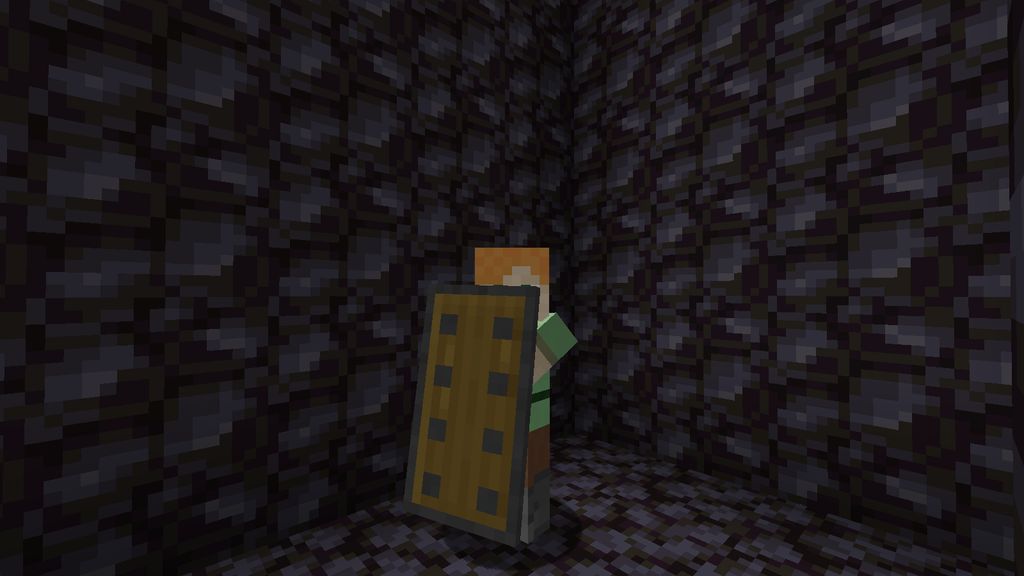 More Shields Mod 1.16.5 (Shields, Protection) 12