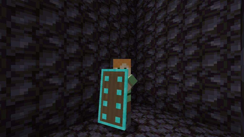 More Shields Mod 1.16.5 (Shields, Protection) 4