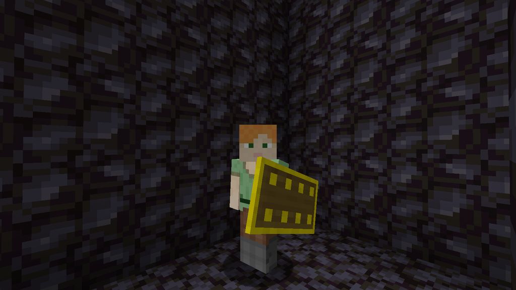 More Shields Mod 1.16.5 (Shields, Protection) 8