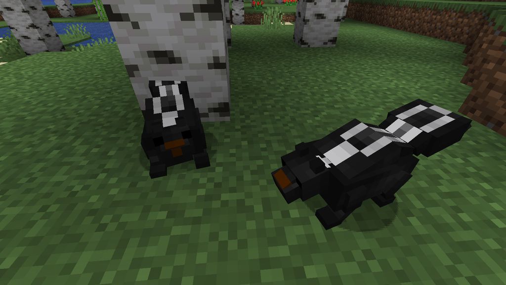 Skunks Mod 1.16.5 (Animals) 2