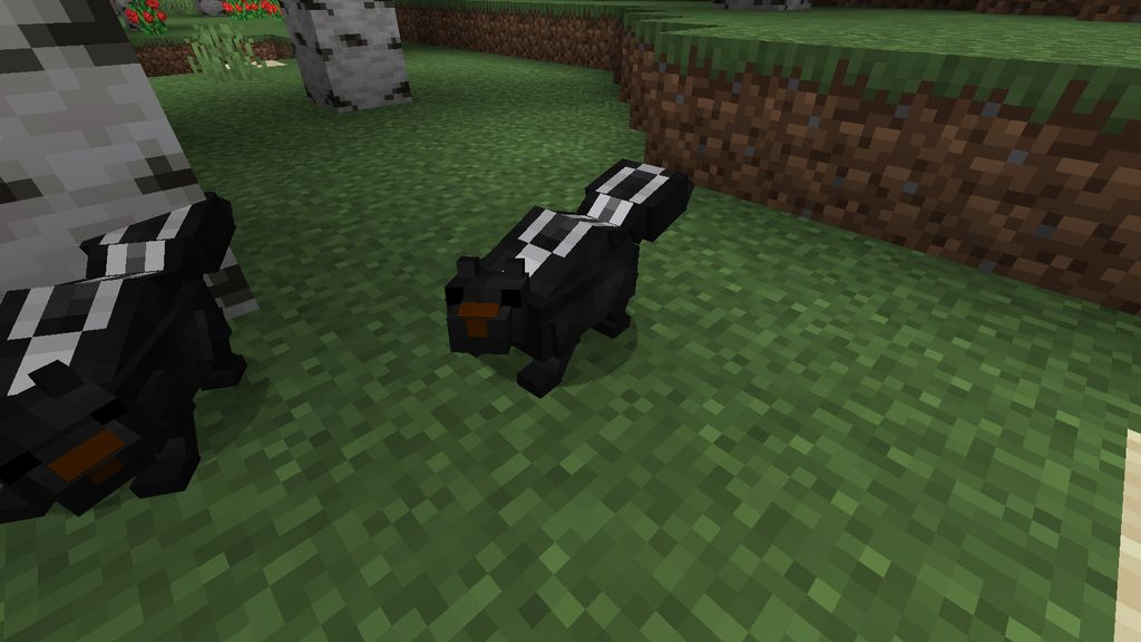 Skunks Mod 1.16.5 (Animals) 8