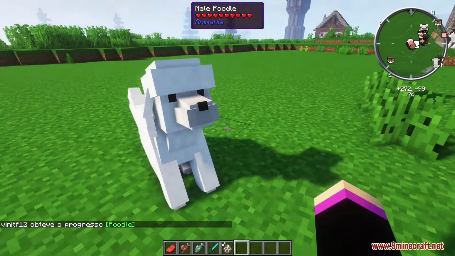 Animania Cats and Dogs Mod (1.12.2) - Companions, Animals 23