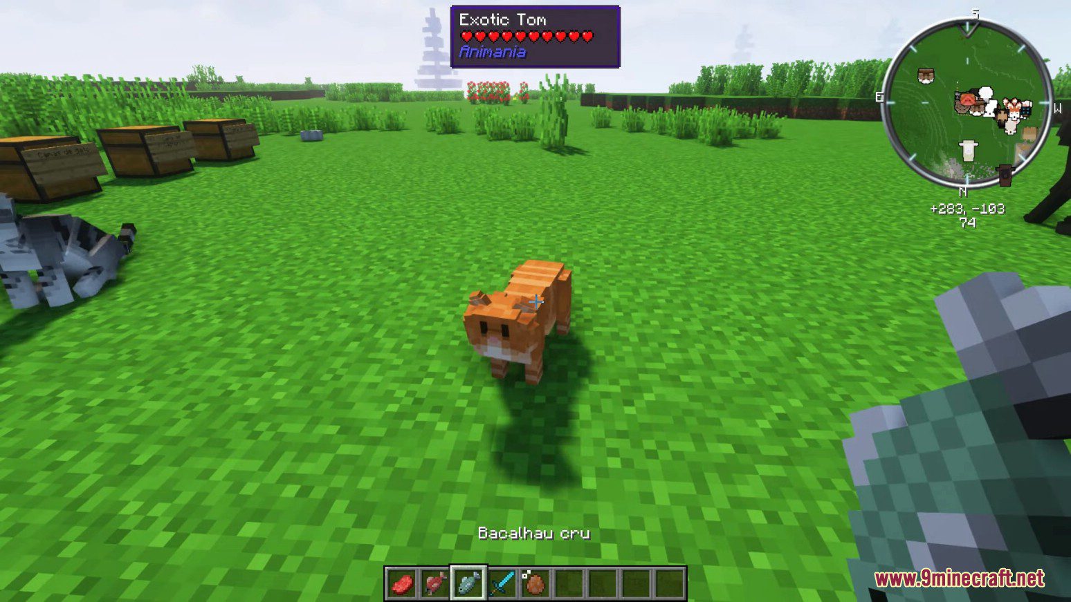 Animania Cats and Dogs Mod (1.12.2) - Companions, Animals 25