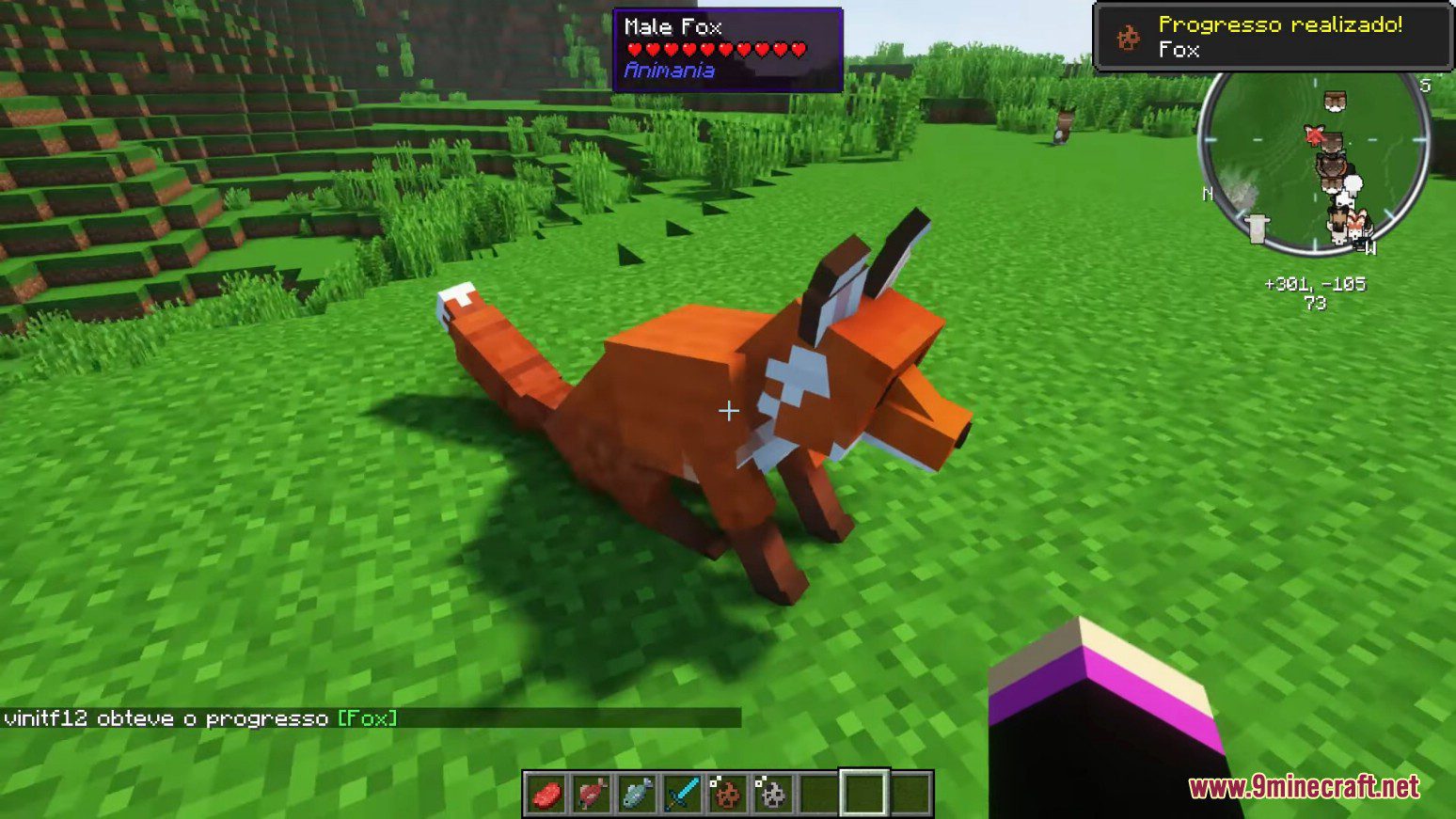 Animania Cats and Dogs Mod (1.12.2) - Companions, Animals 27