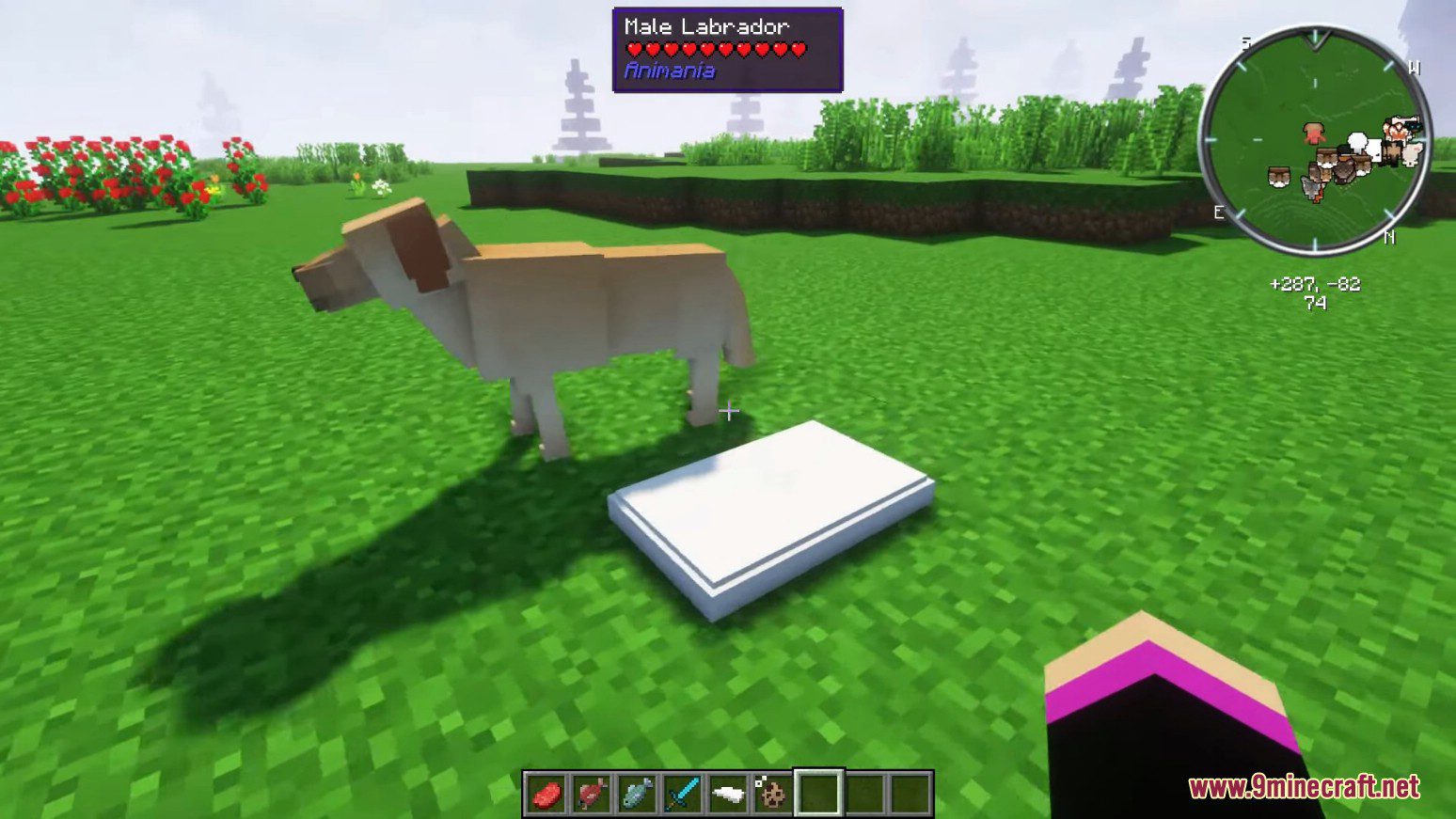 Animania Cats and Dogs Mod (1.12.2) - Companions, Animals 29