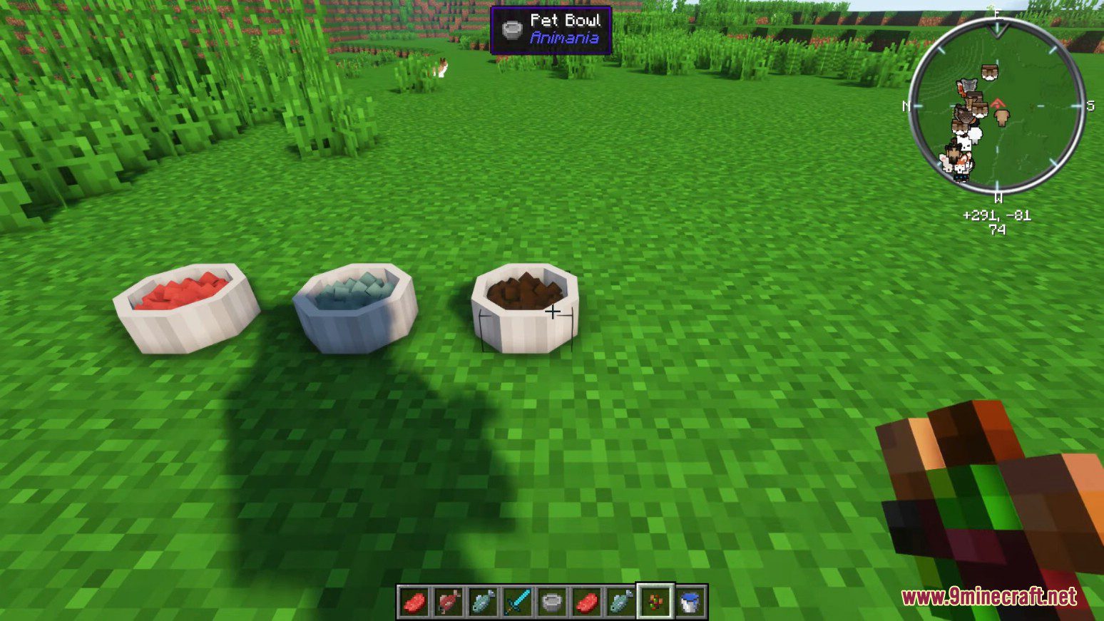 Animania Cats and Dogs Mod (1.12.2) - Companions, Animals 30