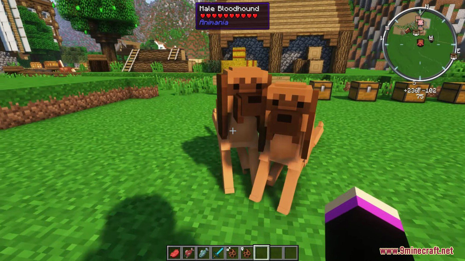 Animania Cats and Dogs Mod (1.12.2) - Companions, Animals 14