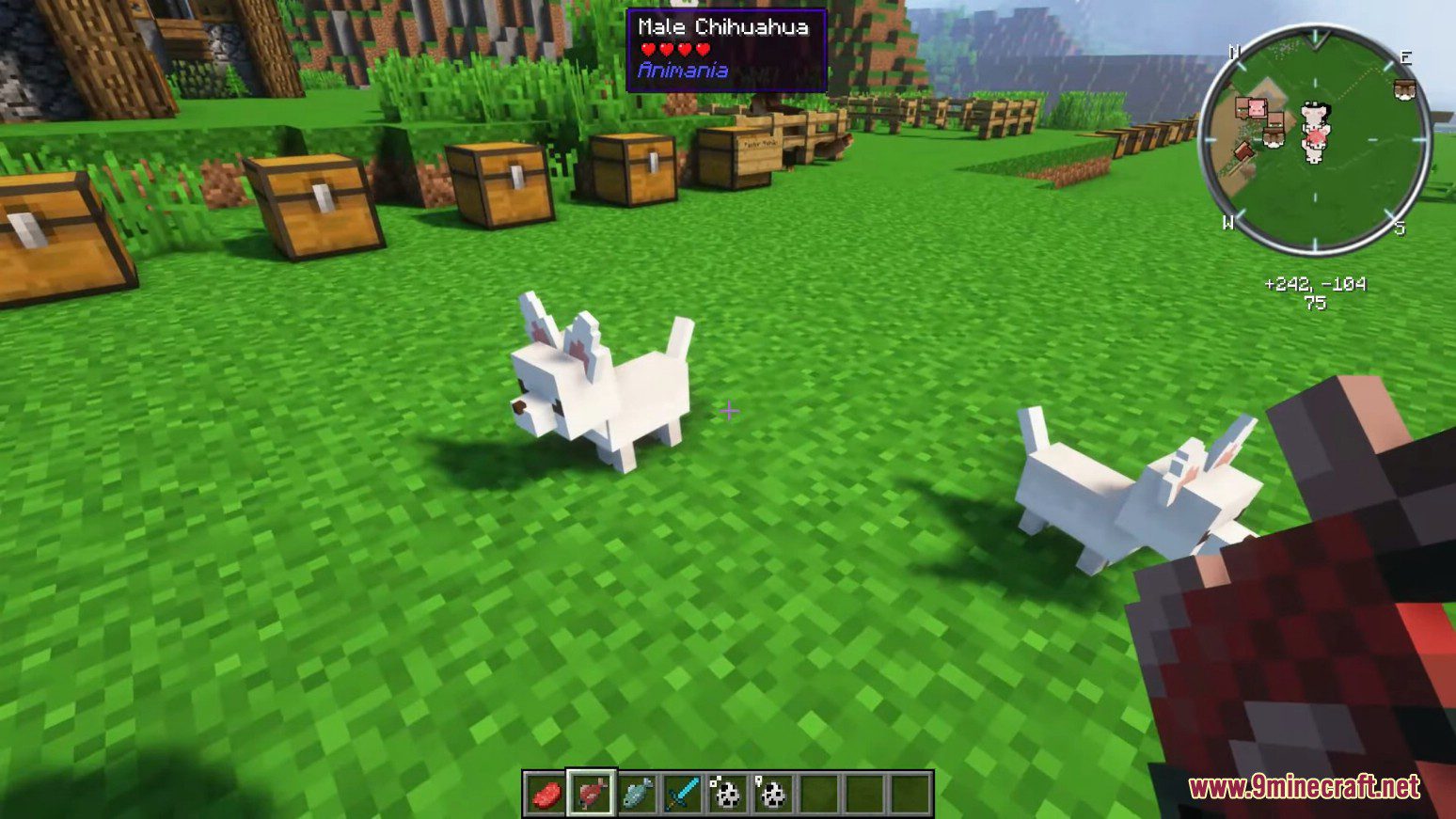 Animania Cats and Dogs Mod (1.12.2) - Companions, Animals 15