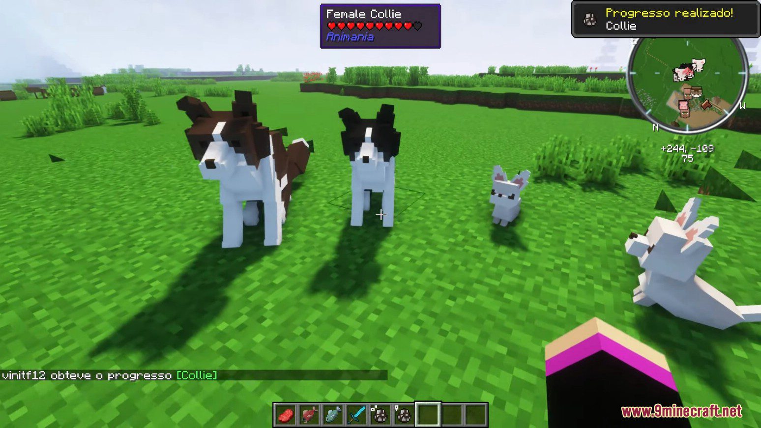 Animania Cats and Dogs Mod (1.12.2) - Companions, Animals 16