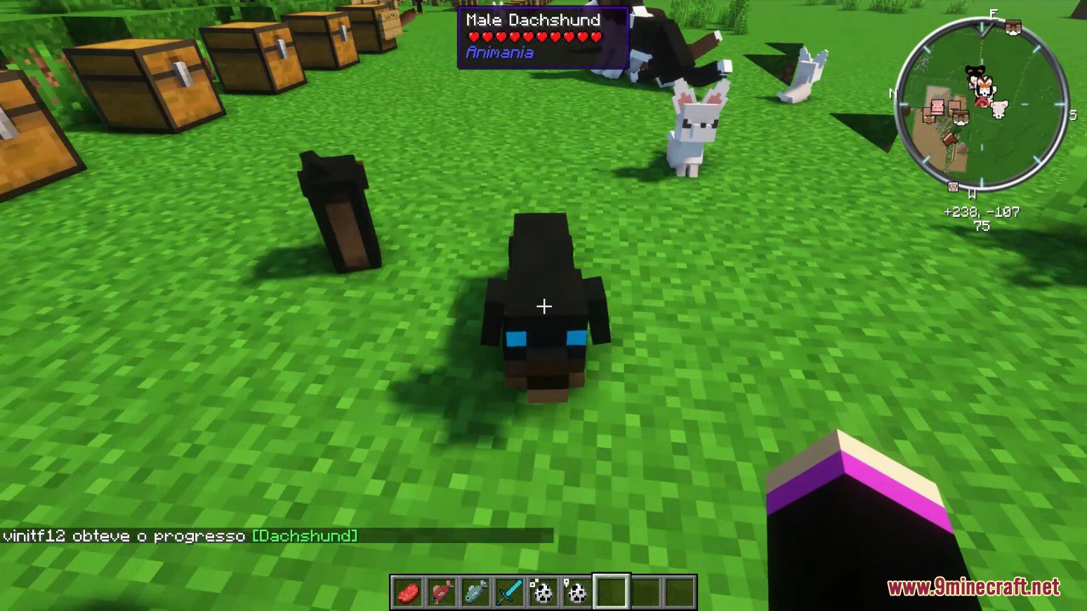 Animania Cats and Dogs Mod (1.12.2) - Companions, Animals 18