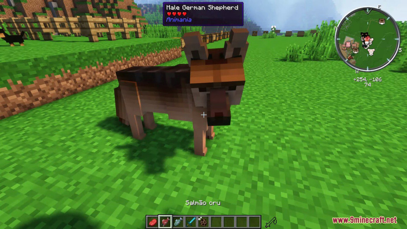 Animania Cats and Dogs Mod (1.12.2) - Companions, Animals 19