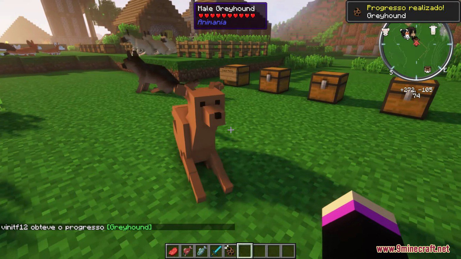 Animania Cats and Dogs Mod (1.12.2) - Companions, Animals 20