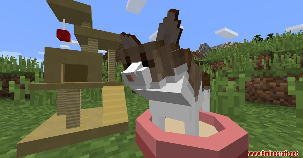 Animania Cats and Dogs Mod (1.12.2) - Companions, Animals 2