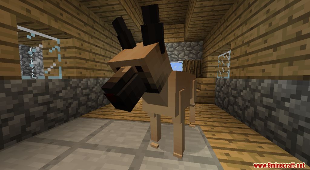 Animania Cats and Dogs Mod (1.12.2) - Companions, Animals 11