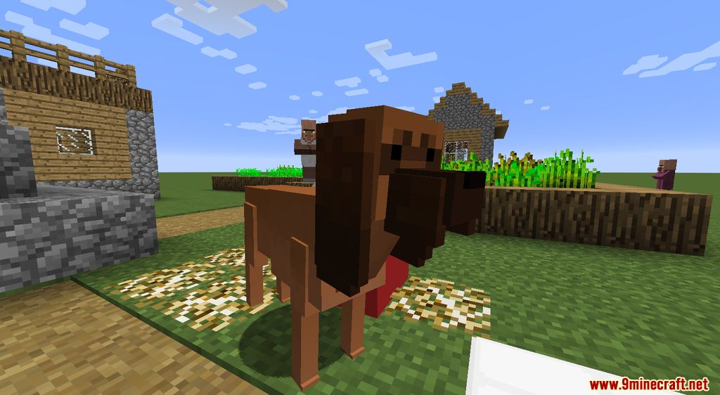 Animania Cats and Dogs Mod (1.12.2) - Companions, Animals 12