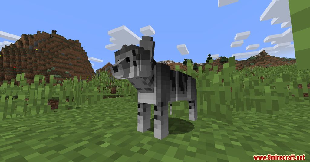 Animania Cats and Dogs Mod (1.12.2) - Companions, Animals 3