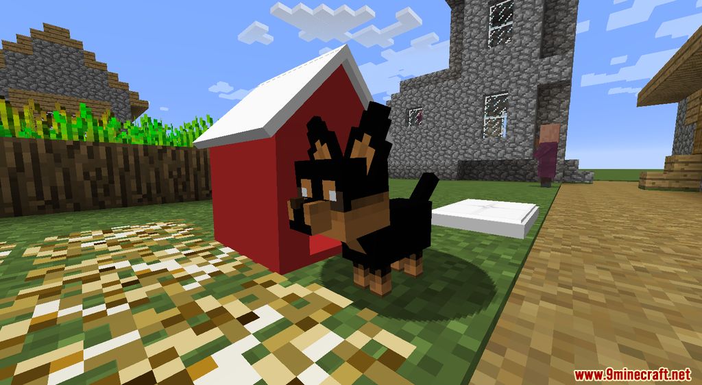 Animania Cats and Dogs Mod (1.12.2) - Companions, Animals 4