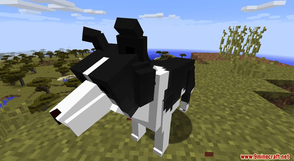 Animania Cats and Dogs Mod (1.12.2) - Companions, Animals 6