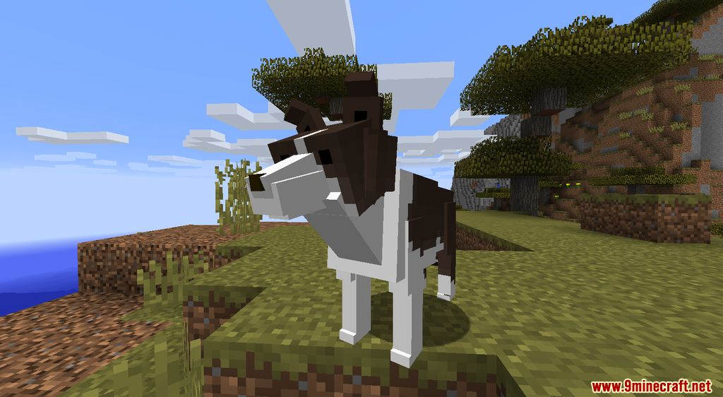 Animania Cats and Dogs Mod (1.12.2) - Companions, Animals 7