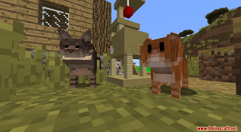 Animania Cats and Dogs Mod (1.12.2) - Companions, Animals 8