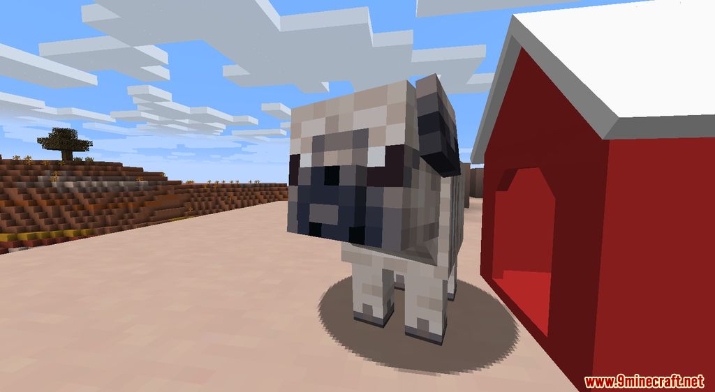 Animania Cats and Dogs Mod (1.12.2) - Companions, Animals 9