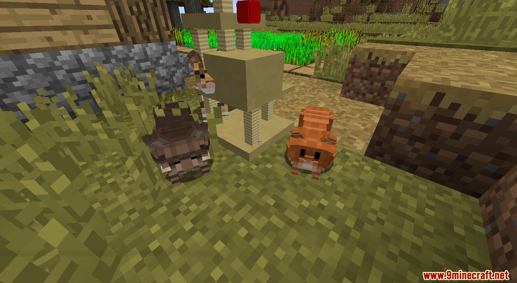 Animania Cats and Dogs Mod (1.12.2) - Companions, Animals 10