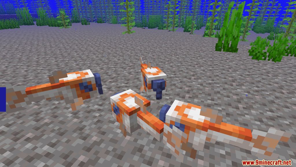 Fins and Tails Mod (1.19.2, 1.18.2) - Marine Life 11