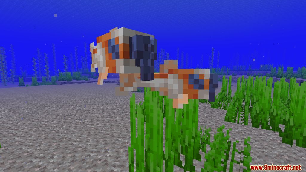 Fins and Tails Mod (1.19.2, 1.18.2) - Marine Life 12