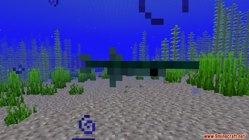 Fins and Tails Mod (1.19.2, 1.18.2) - Marine Life 13