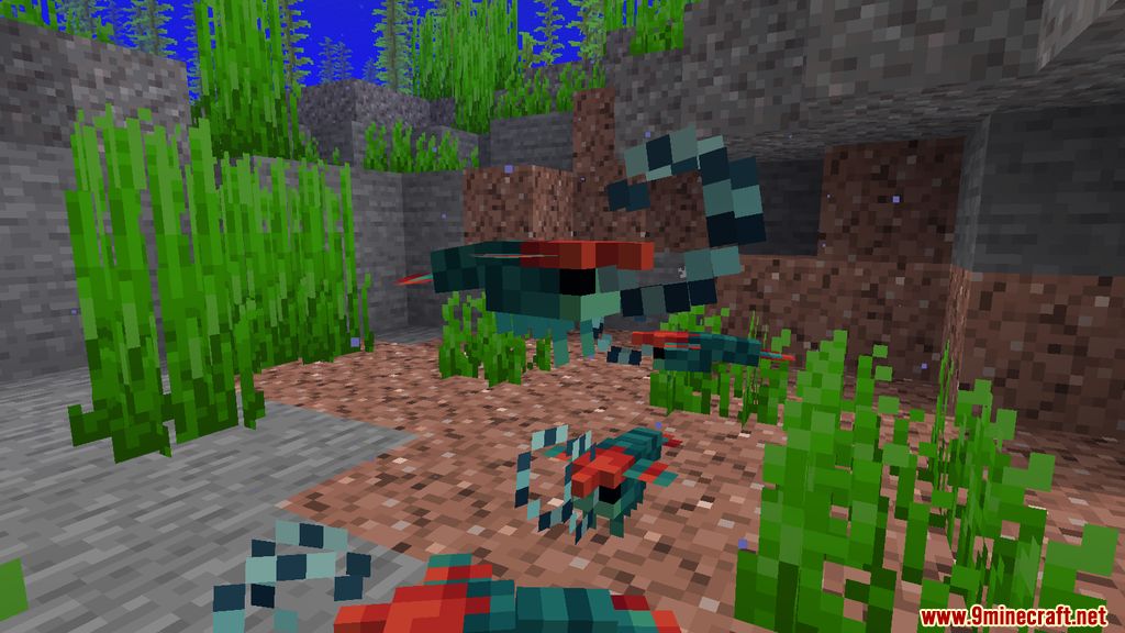 Fins and Tails Mod (1.19.2, 1.18.2) - Marine Life 10
