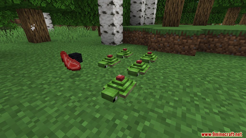 Turtlemancy Mod (1.18.2, 1.16.5) - Turtle Magic 8