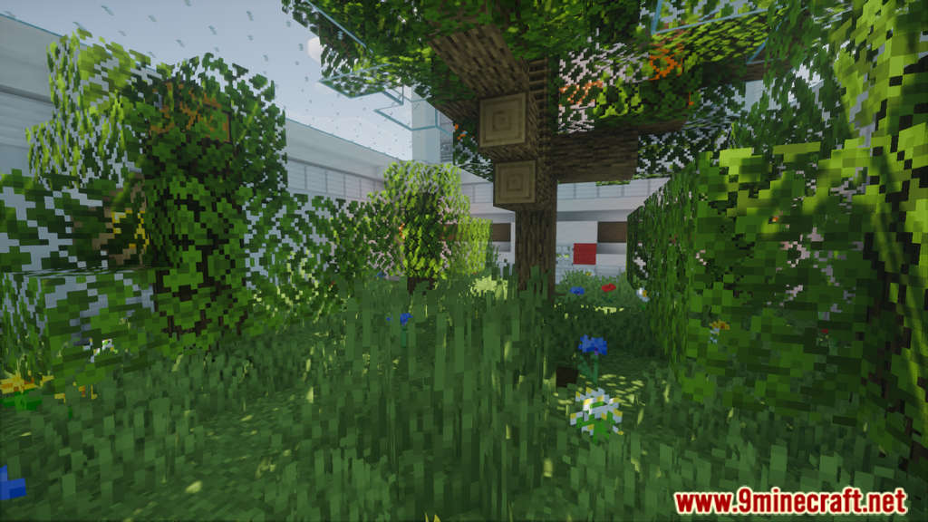 Biome Sprint Map 1.15.2 for Minecraft 4