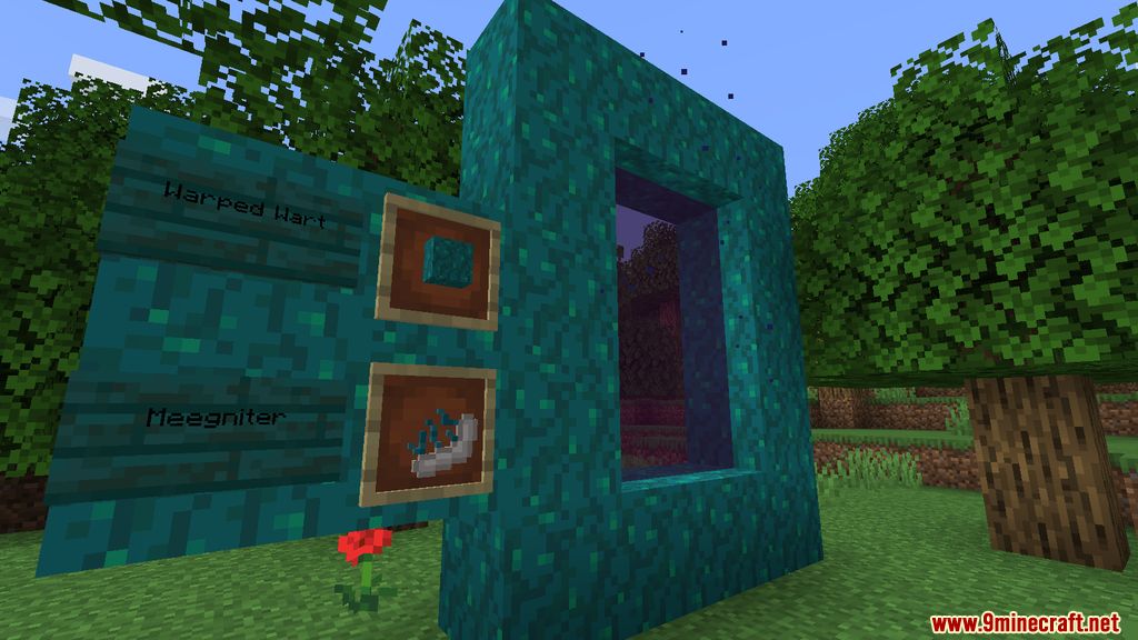 Meetle Mod 1.16.5 (Dimension, Entities) 2