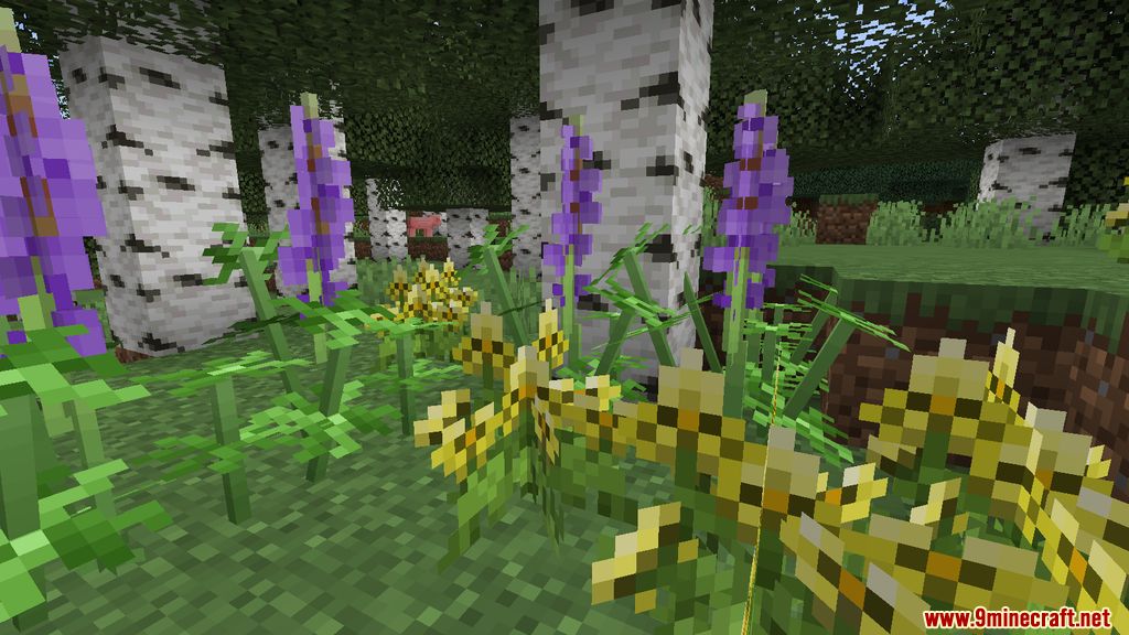 Serene Shrubbery Mod 1.16.5 (Flowers) 3