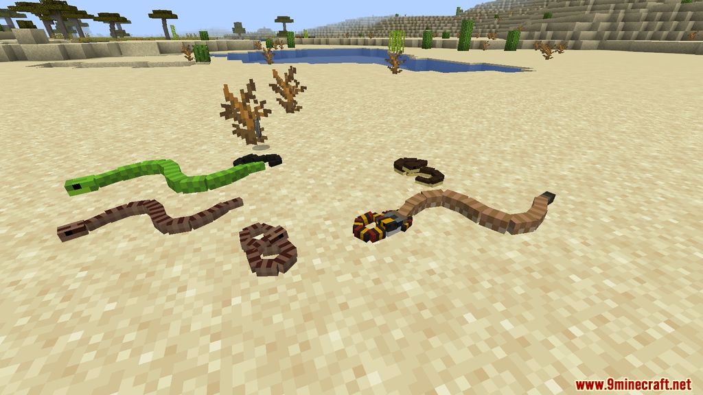 Untamed Wilds Mod (1.20.1, 1.19.2) - Animals 5