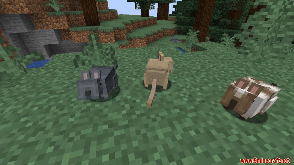 Vanilla Degus Mod (1.20.4, 1.19.4) - Companion, Pet 2