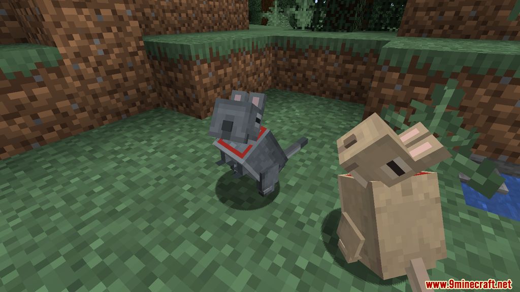 Vanilla Degus Mod (1.20.4, 1.19.4) - Companion, Pet 4