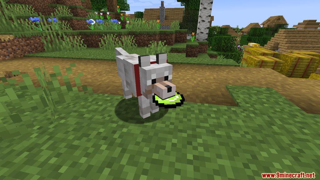 Doggo Mod (1.19, 1.18.2) - Animations, Playful 2