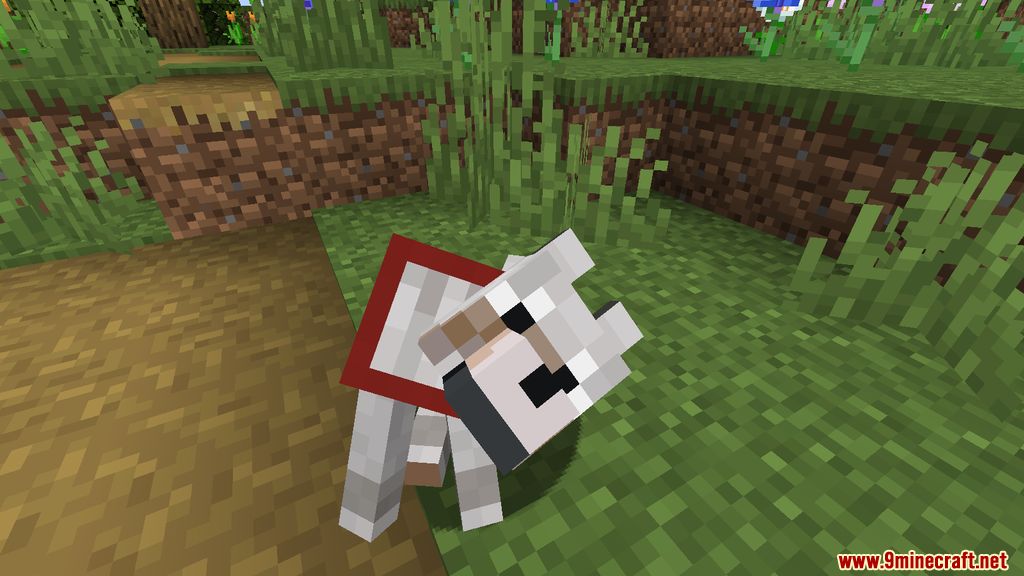 Doggo Mod (1.19, 1.18.2) - Animations, Playful 3