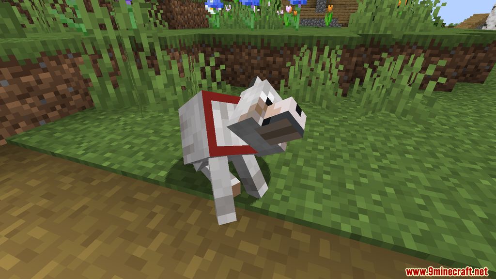 Doggo Mod (1.19, 1.18.2) - Animations, Playful 4