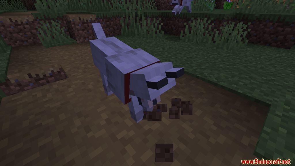 Doggo Mod (1.19, 1.18.2) - Animations, Playful 5