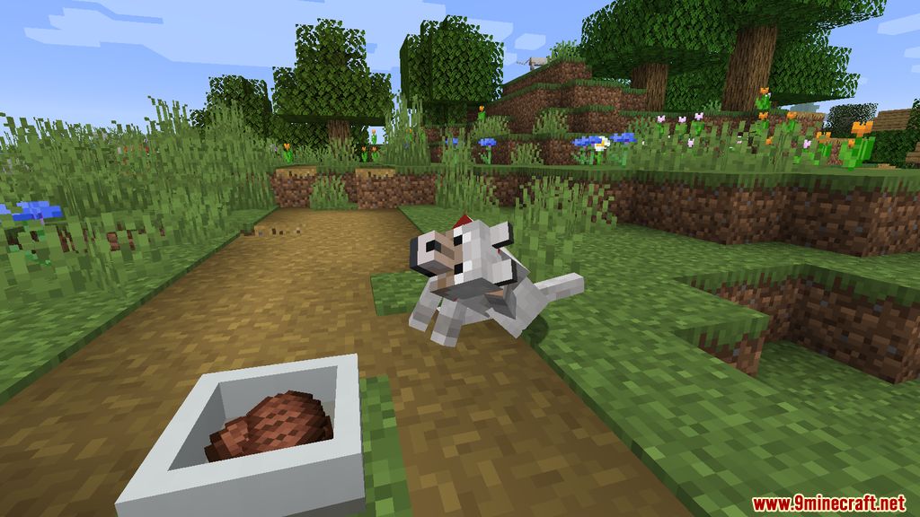 Doggo Mod (1.19, 1.18.2) - Animations, Playful 7