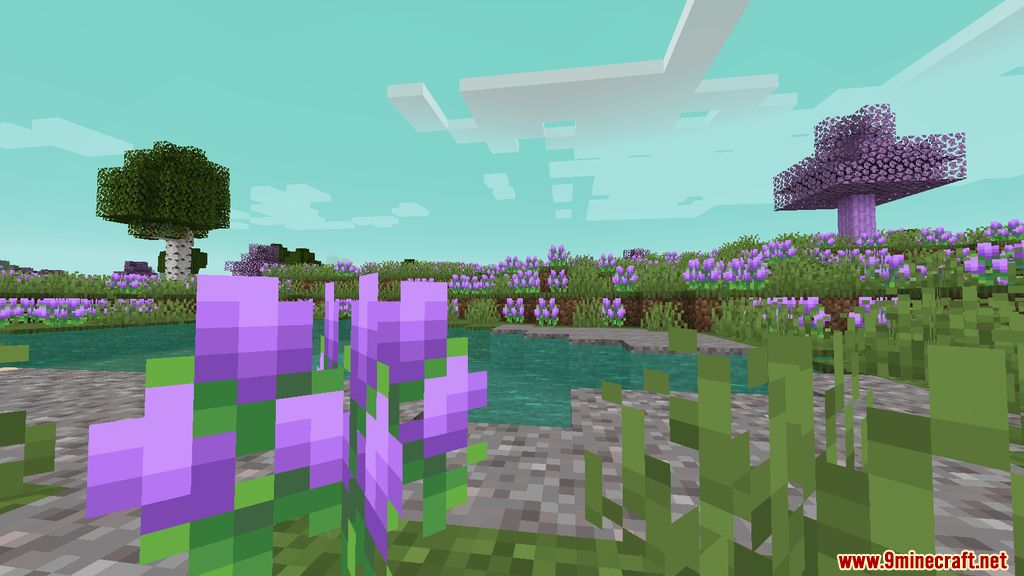 Mystic's Biomes Mod (1.20.1, 1.19.4) - More Biomes 6