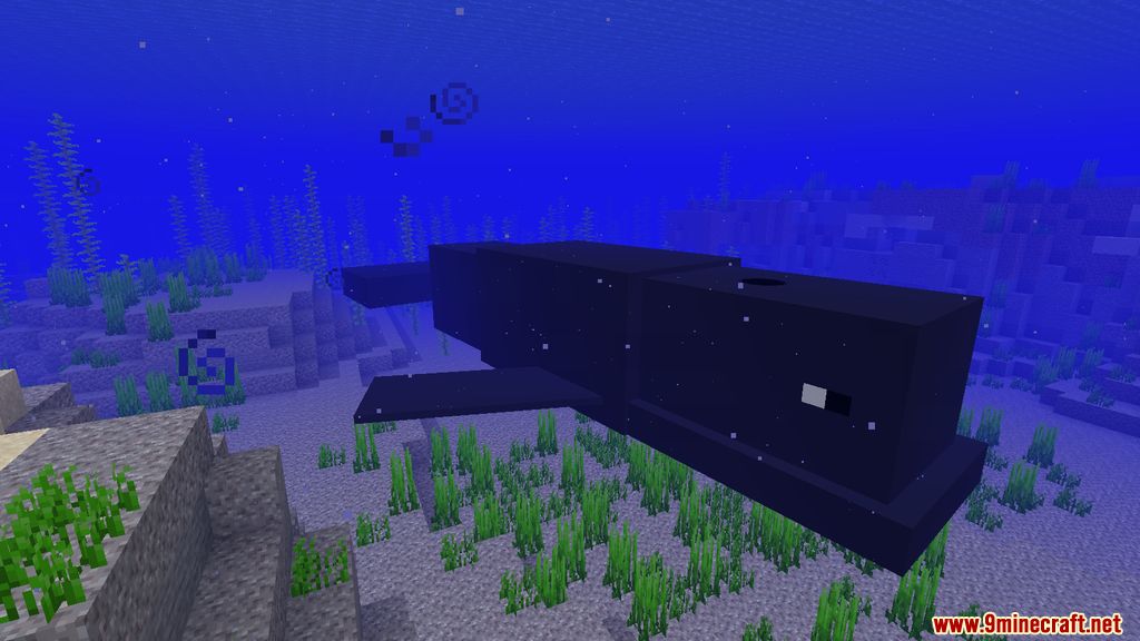 Ocean Expansions Mod (1.18.2, 1.16.5) - Entities, Ocean 2