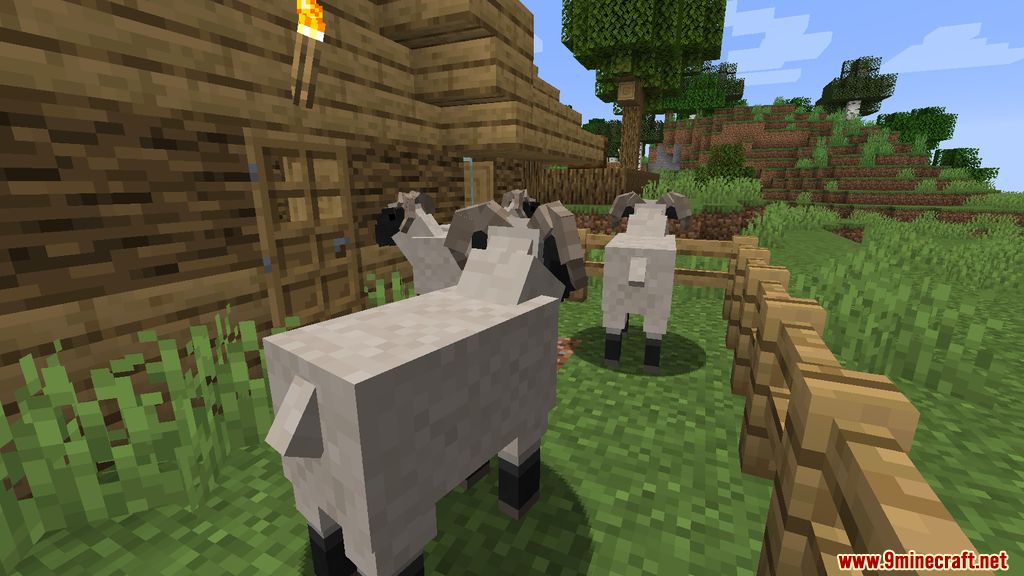 Wild Farm Mod 1.16.5 (Animals, Farming) 4