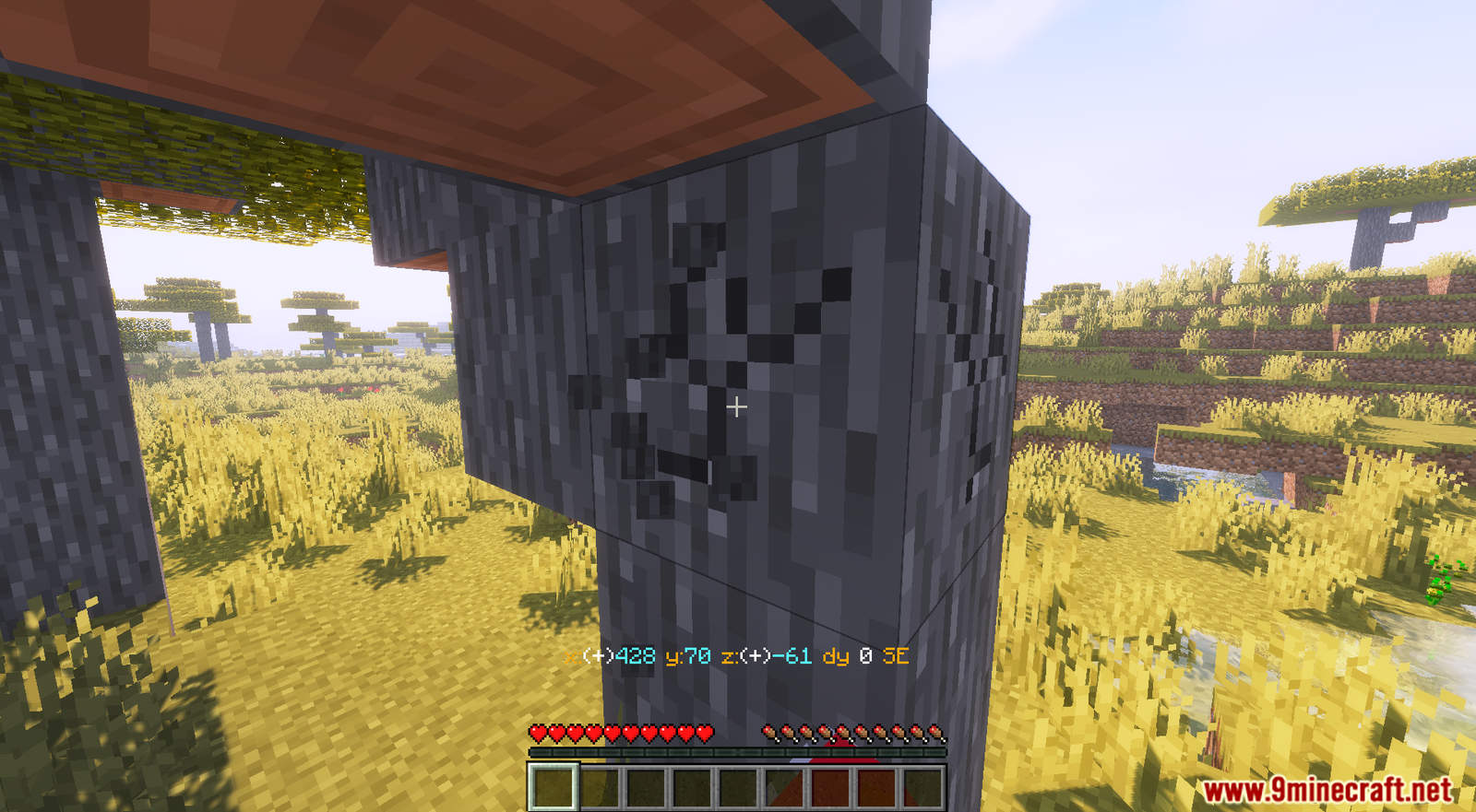 Batty's Coordinates Data Pack (1.19.3, 1.18.2) - Display your Coordinates 4