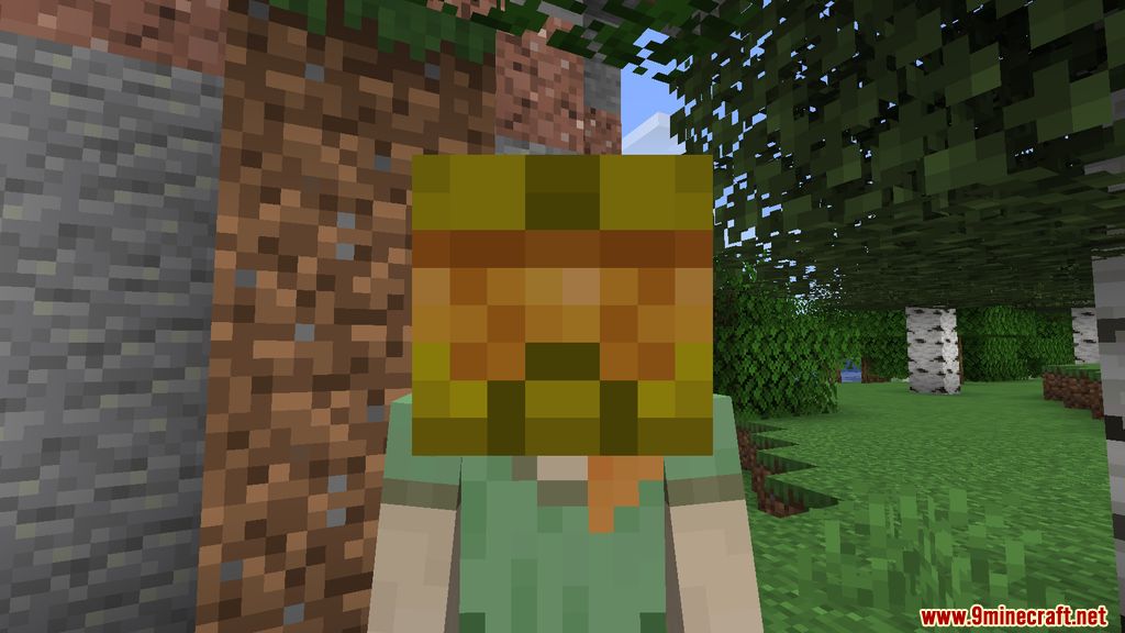 Masks Hats Mod (1.18.2, 1.17.1) - Headgear, Masks 9