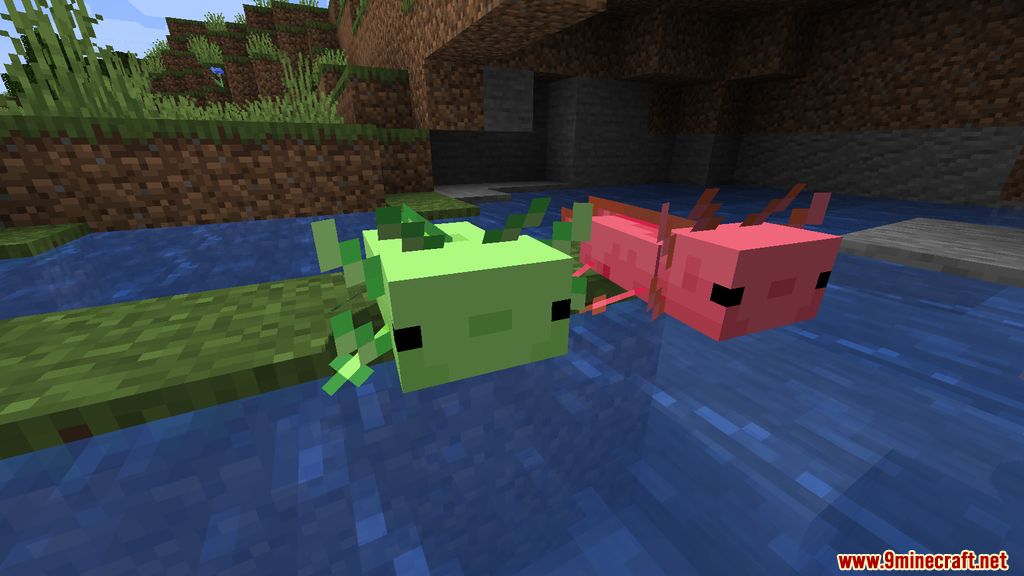 More Axololts Mod (1.19.2, 1.18.2) - Companions, Pets 2