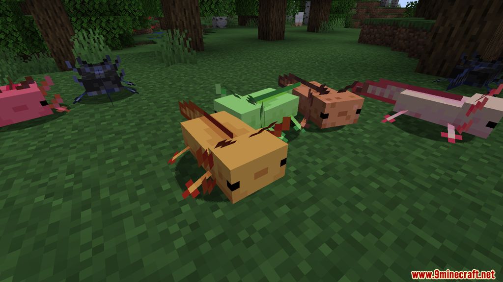 More Axololts Mod (1.19.2, 1.18.2) - Companions, Pets 3